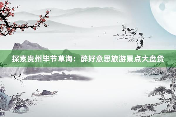 探索贵州毕节草海：醉好意思旅游景点大盘货